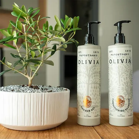 Ermou 55 Hive 2 Διαμέρισμα *