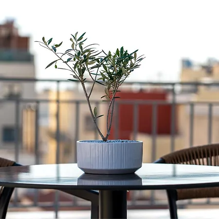 Apartment Ermou 55 Hive 2 *